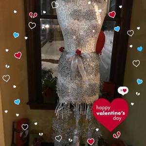 Meet your Posher, Ann